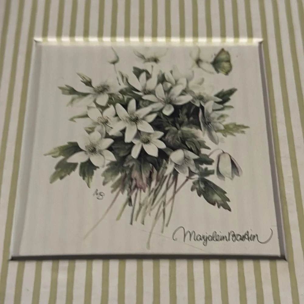 Nature’s Sketchbook by Marjolein Bastin sage green /cream keepsake and note box